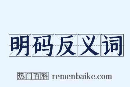 明码反义词是什么意思的图片
